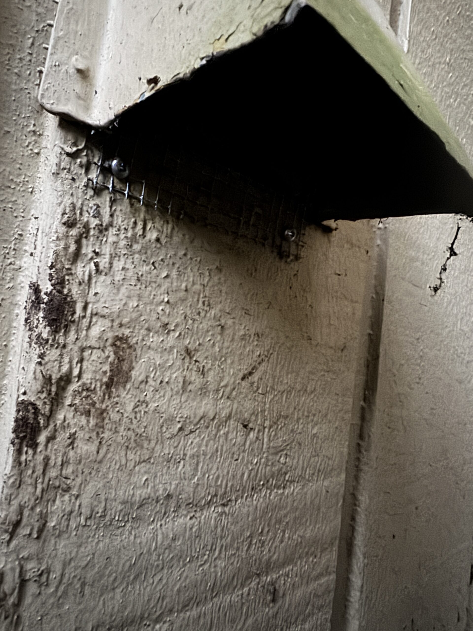 Simple Fall Rodent Proofing Checklist for Homes in Burnaby, Vancouver, North Vancouver, West Vancouver
