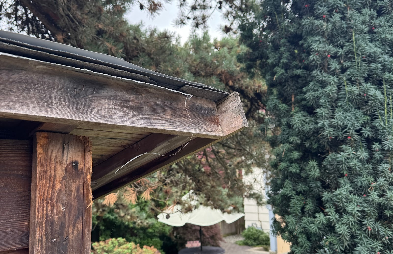 Seasonal Home Maintenance Checklist for Metro Vancouver: Rain-Ready Tasks