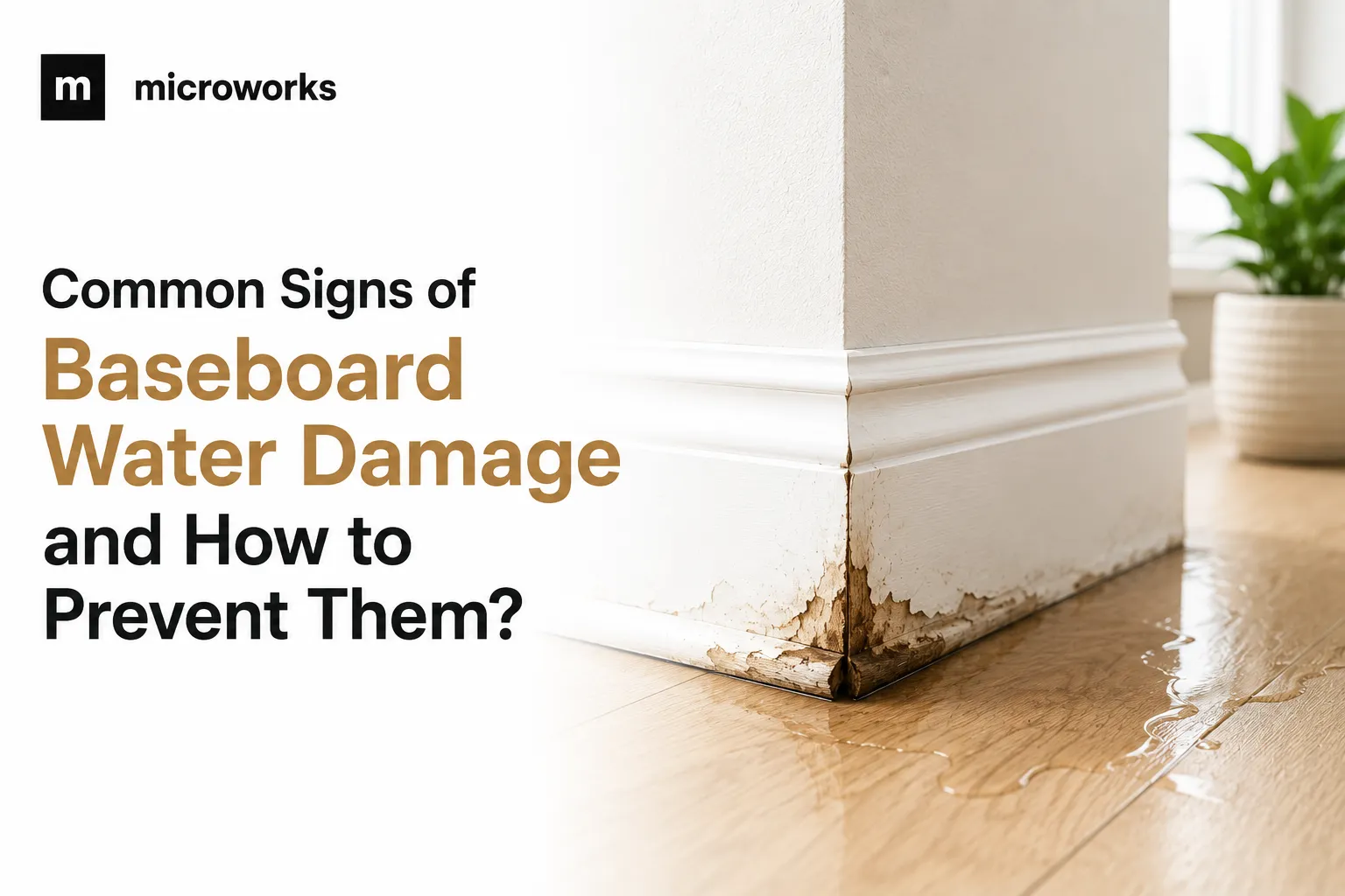 Common signs of baseboard water damage and how to prevent them?